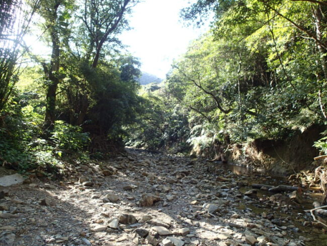 2026/2/4　川の入口風景