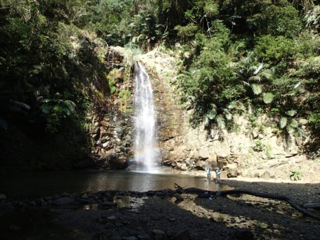 2026/2/13　2026年ター滝風景