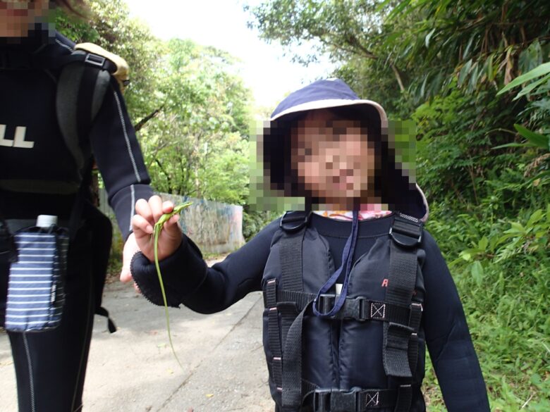 2025/4/12　アオカナヘビ、メス