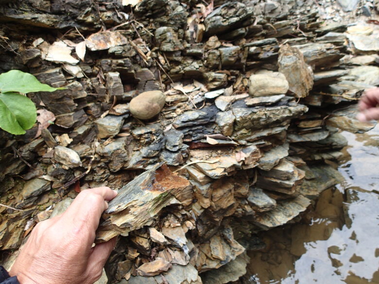 2025/4/26　ページ岩(頁岩)