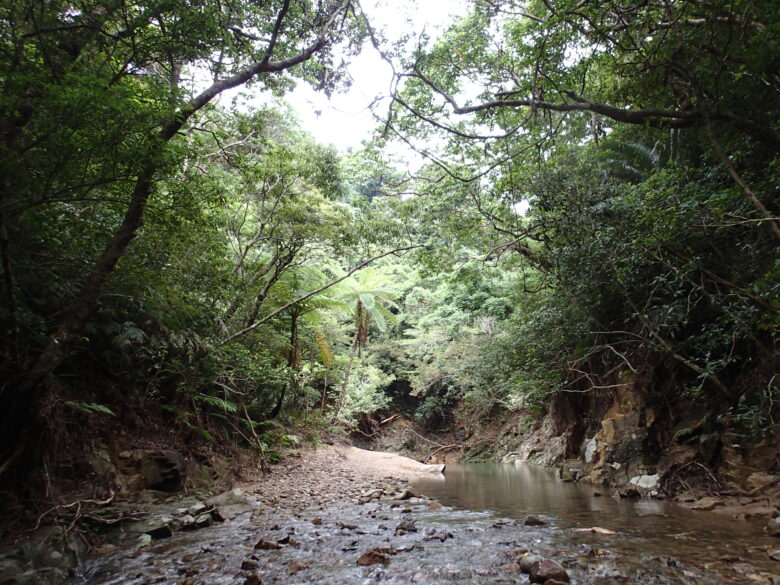 2025/5/13　ター滝下流、平南川の風景