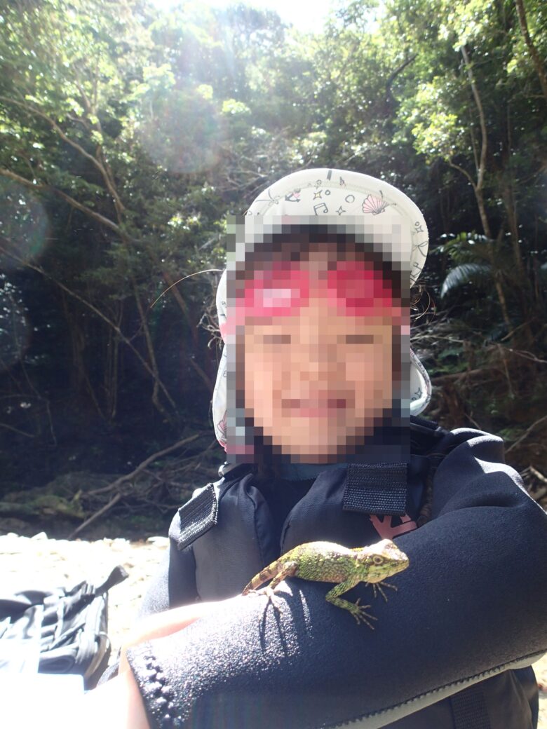 2025/6/15　オキナワキノボリトカゲが腕の上に