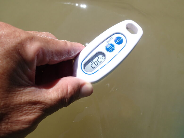 2025/6/20　川の水温26.2度