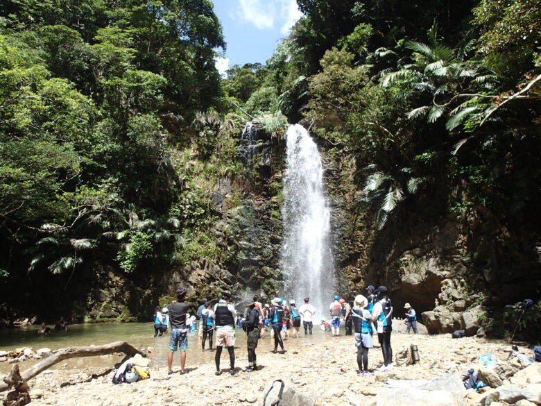 2025/6/27　夏のター滝