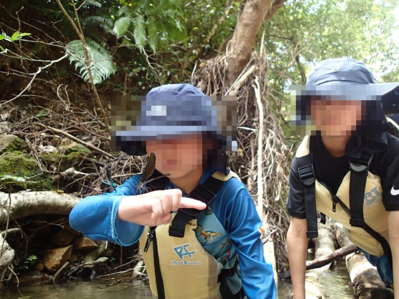 2025/7/1　リュウキュウハグロトンボ、ペア