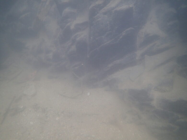 2025/7/2　テナガエビ