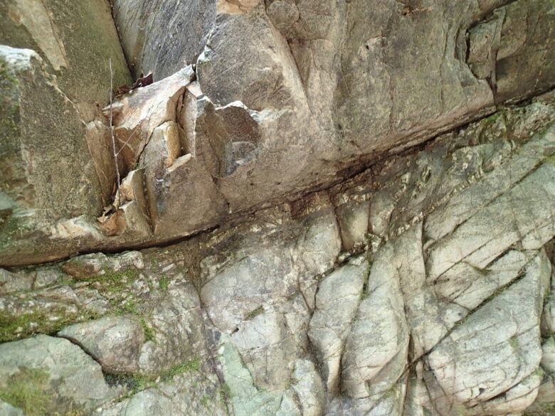 2025/7/3　ザトウムシ