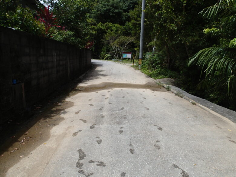 2025/8/8　足スタンプ押して帰りましょう