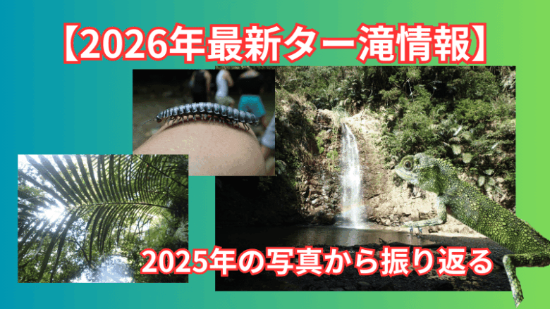 【2026年最新ター滝情報】2025年の写真から振り返る